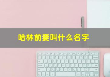 哈林前妻叫什么名字