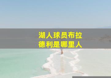 湖人球员布拉德利是哪里人