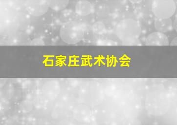 石家庄武术协会